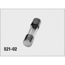 Fuse F1 2 Amp for Nieco Broil